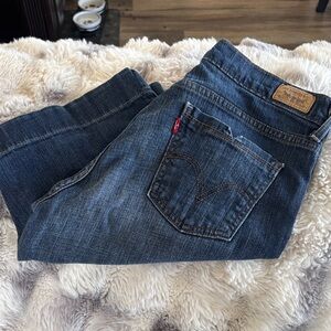 Levi's Dark Blue Straight Shorts